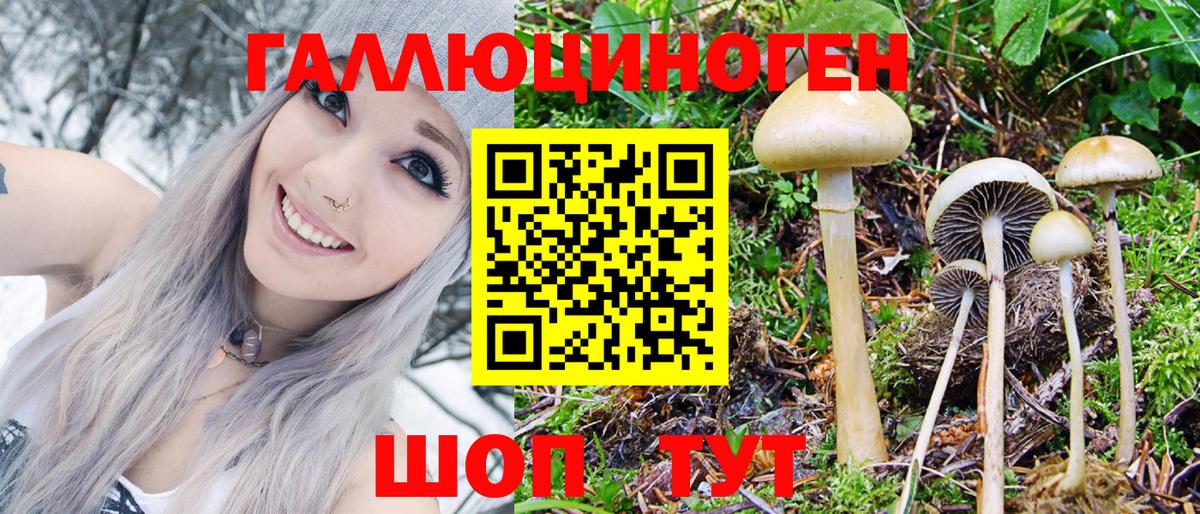 Псилоцибиновые грибы GOLDEN TEACHER Кольчугино
